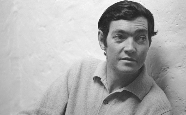 julio cortazar